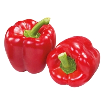 Paprika (rot, gelb oder grün), Herkunft Italien, 5 kg Kiste